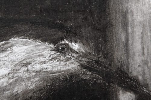 What's Left,  detail,  2024